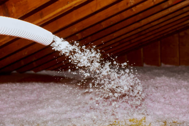 Best Professional Insulation Contractor  in Largo, FL