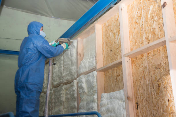 Best Spray Foam Insulation  in Largo, FL